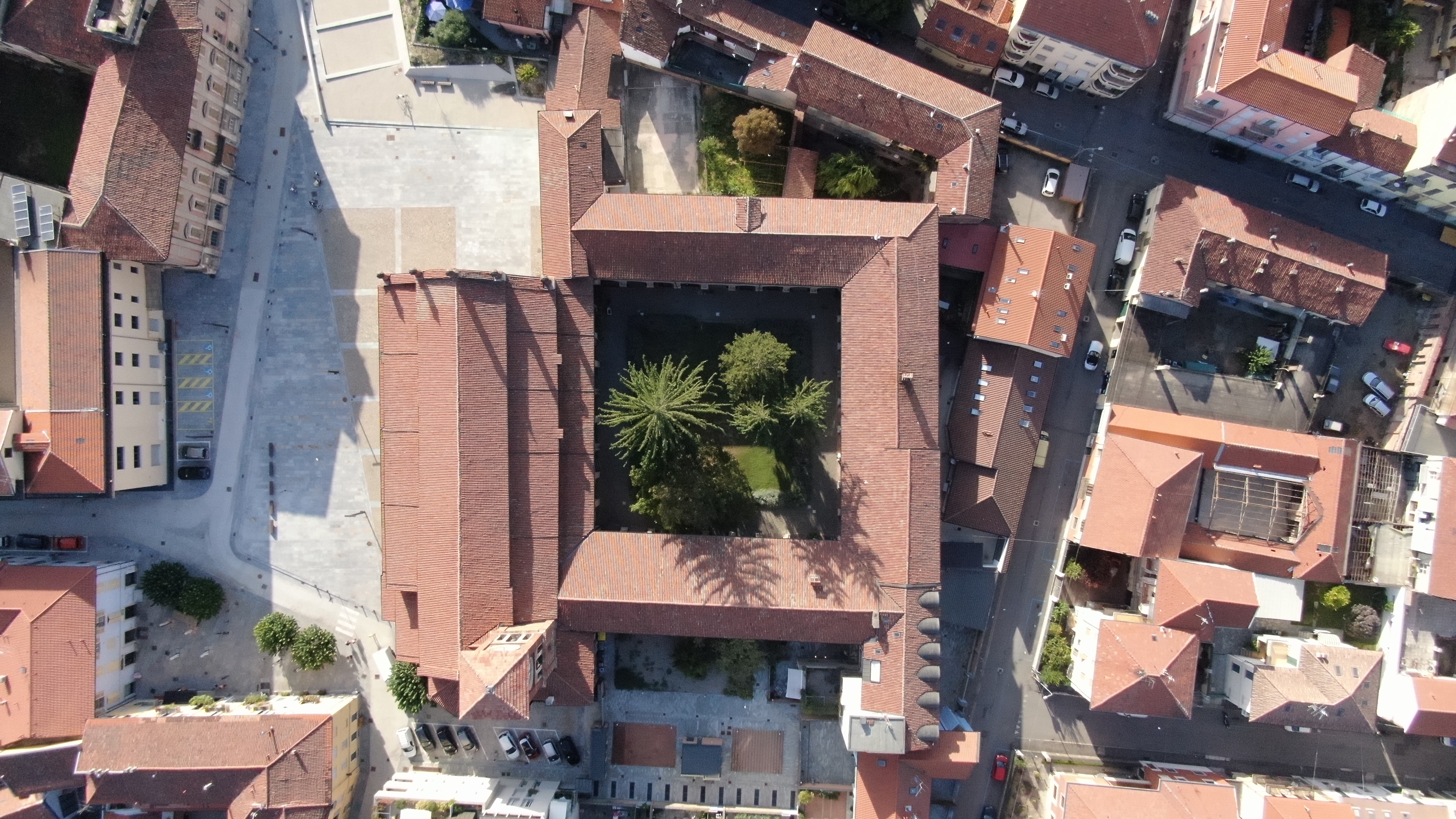 Radici Urbane Immagine 3